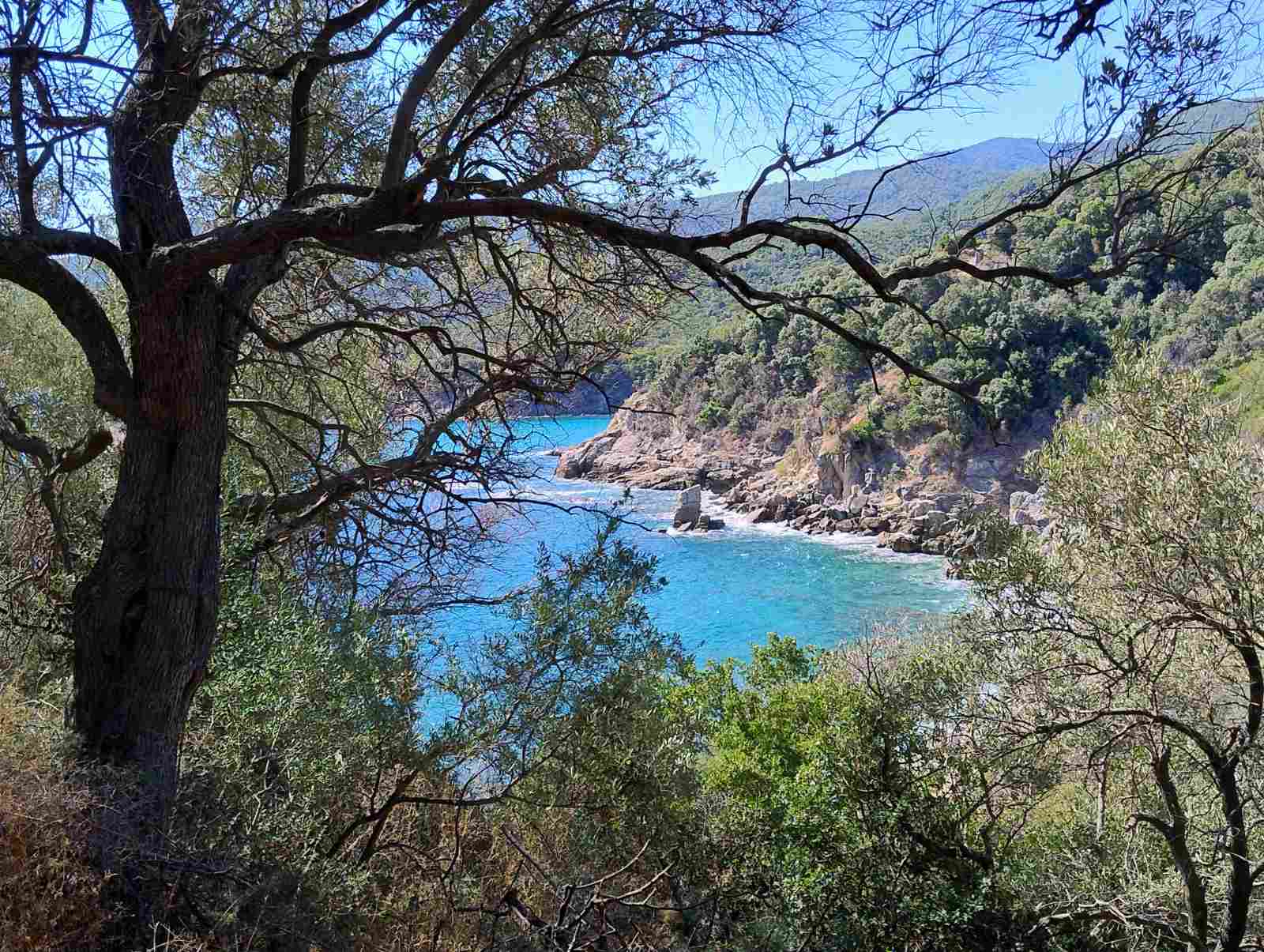 Beach view from Stageira