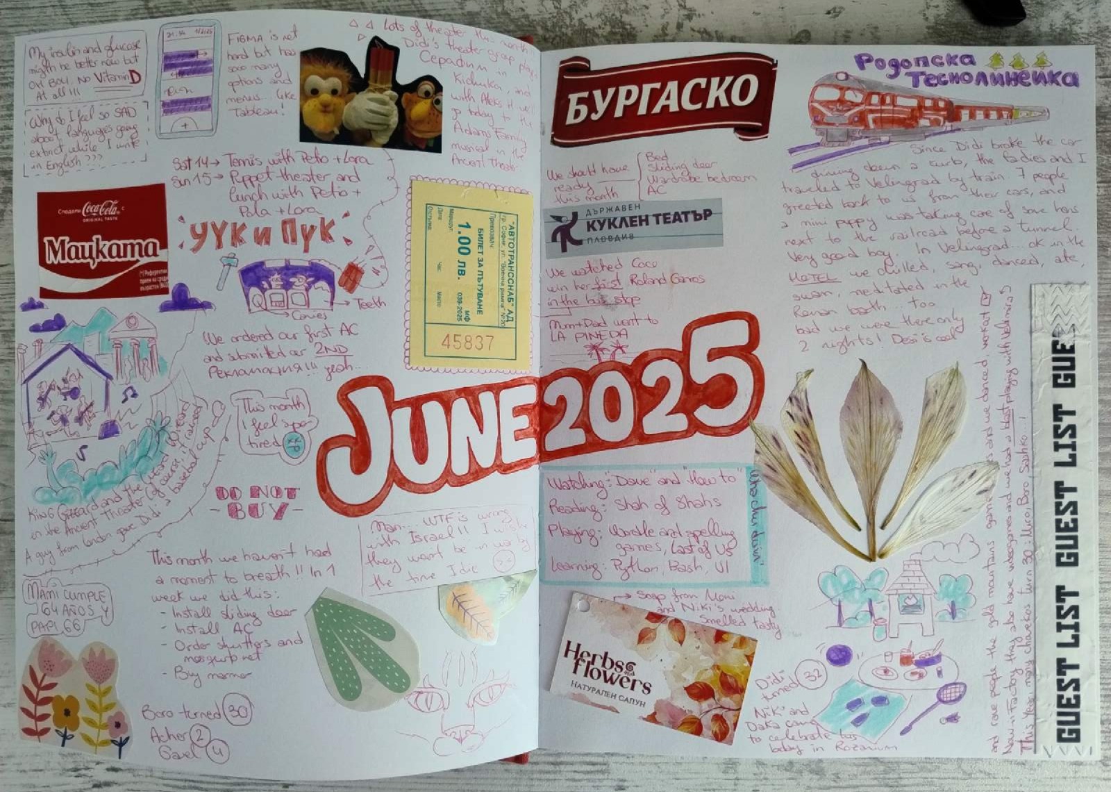 Double page journal for June 2025